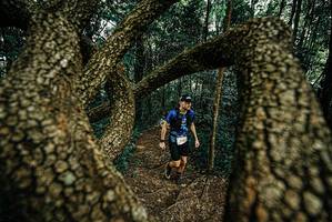 BIB: 
                            <button type="button" onclick="openModal(25668782)" class="btn btn-primary btn-sm float-right btn-popup" data-toggle="modal" data-target=".modal-high-quality">
                        <i class="fas fa-shopping-cart"></i> Add to Cart
                    </button>
                                            <button type="button" onclick="isThisMe(25668782, true)" class="btn btn-success btn-sm float-right btn-popup btn-isme hidden" data-toggle="tooltip" data-placement="bottom" title="นี่คือรูปของคุณใช่ไหม คลิกที่นี่เพื่อเอาเข้าอัลบั้ม">
                        <i class="fas fa-plus"></i> Add to album
                    </button>
                    <button type="button" onclick="isThisMe(25668782, false)" class="btn btn-warning btn-sm float-right btn-popup btn-isnotme hidden">
                        <i class="fas fa-ban"></i> Remove from album
                    </button>